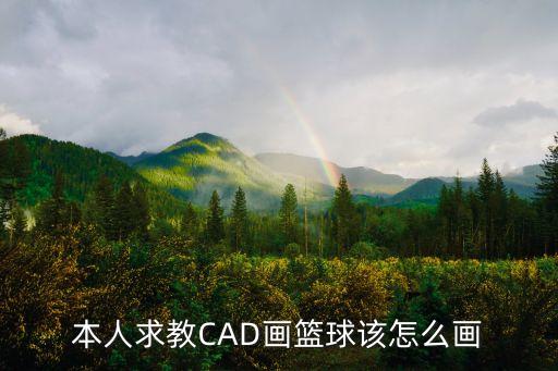 籃球畫法，本人求教CAD畫籃球該怎么畫