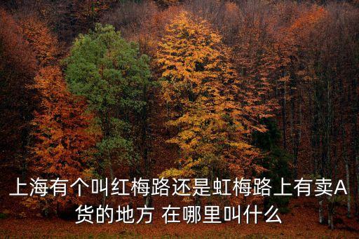 香樟園上海市紅梅路，上海有個叫紅梅路還是虹梅路上有賣A貨的地方 在哪里叫什么