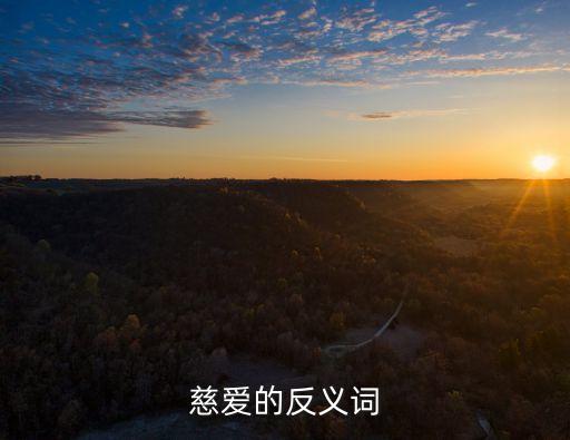 慈愛的反義詞