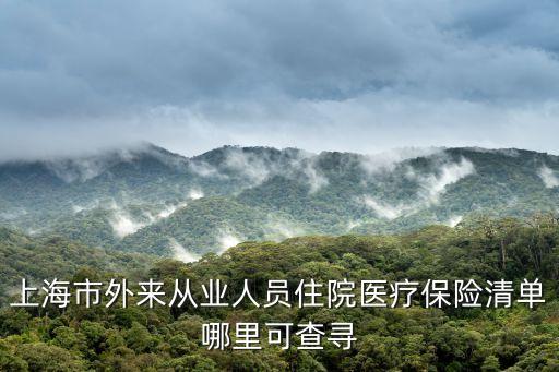 上海市外來從業人員住院醫療保險清單哪里可查尋