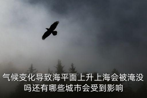 氣候變化導致海平面上升上海會被淹沒嗎還有哪些城市會受到影響