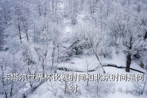 卡塔爾世界杯比賽時間和北京時間是何時