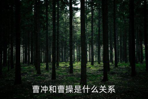 曹沖和曹操是什么關系