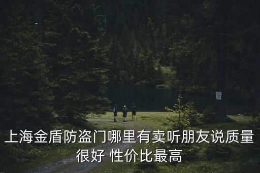 上海金盾防盜門哪里有賣聽朋友說質(zhì)量很好 性價(jià)比最高