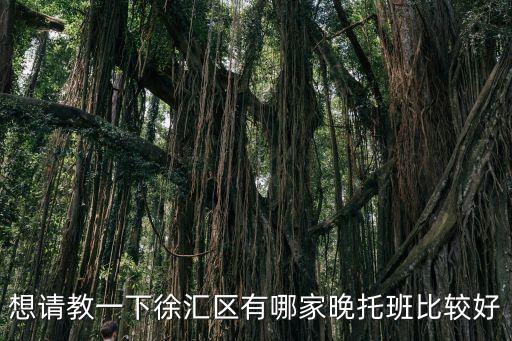 想請教一下徐匯區有哪家晚托班比較好