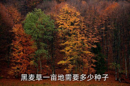 黑麥草一畝地需要多少種子