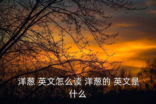  洋蔥 英文怎么讀 洋蔥的 英文是什么