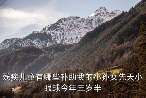 殘疾兒童有哪些補助我的小孫女先天小眼球今年三歲半