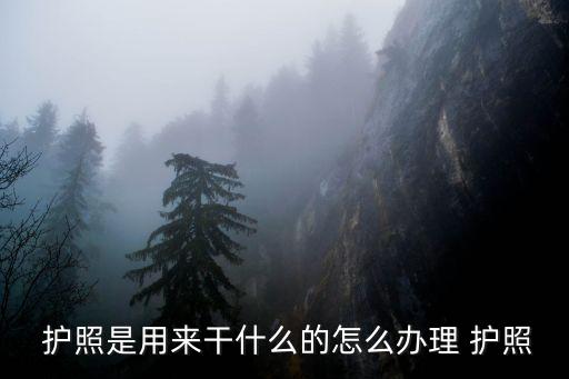 護照是什么,什么是港口通行證?