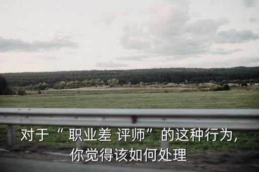 職業差評師,職業poor評師專門用來給網店差評對賣家有害