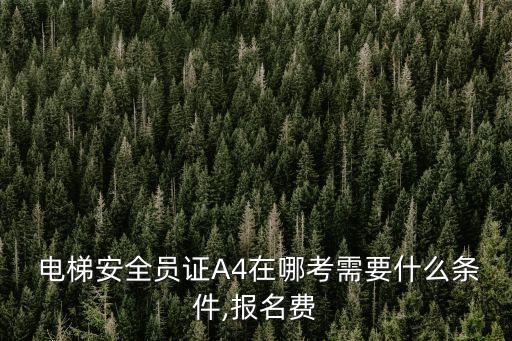 電梯安全員,電梯安全管理人員理論考試報名名單公布