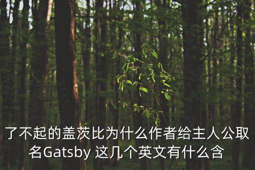 了不起的蓋茨比為什么作者給主人公取名Gatsby 這幾個英文有什么含
