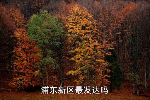 上海市浦東新區繁榮嗎，上海浦東區全部都繁榮嗎