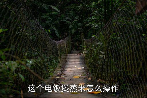 這個(gè)電飯煲蒸米怎么操作