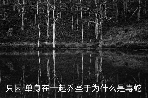 只因 單身在一起喬圣于為什么是毒蛇
