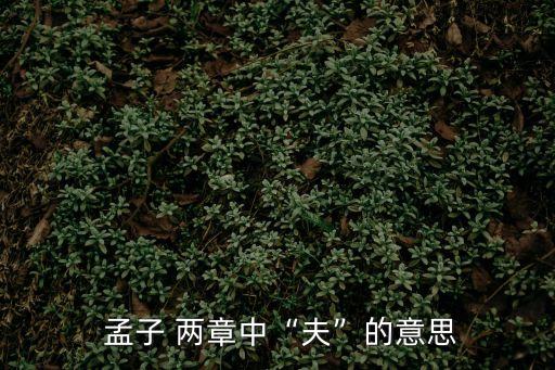 孟子兩章,孟子兩篇短文以不同方式提出論點