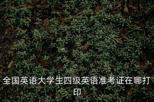 四六級準考證打印入口，英語四級口語考試打印準考證的入口在哪里