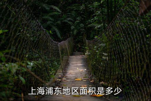 上海市浦東區營前鎮多大，上海浦東地區面積是多少