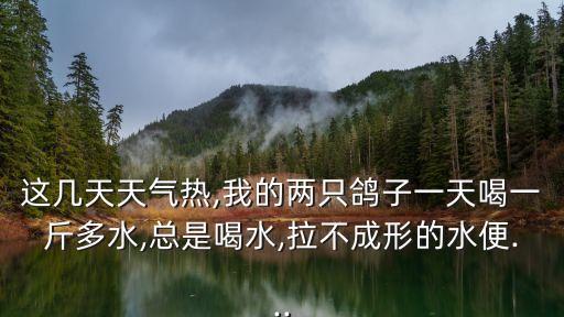 這幾天天氣熱,我的兩只鴿子一天喝一斤多水,總是喝水,拉不成形的水便...