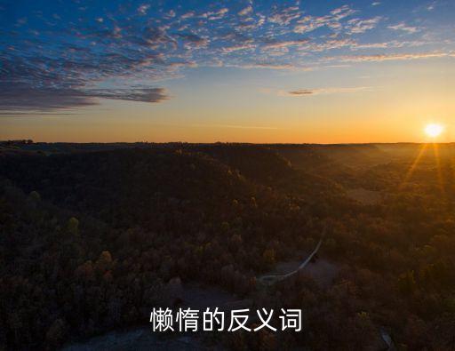 懶惰的反義詞