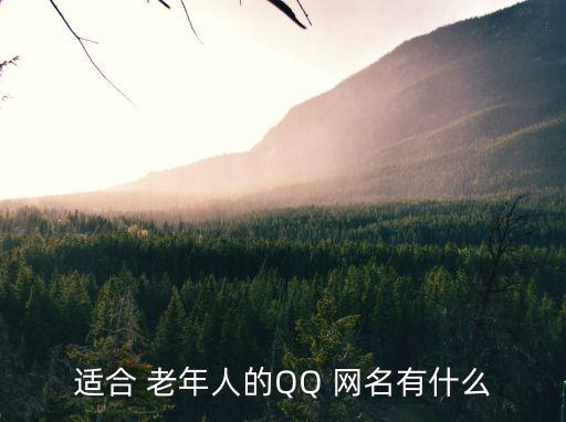 老年人網(wǎng)名,老年人個性簽名:人生如茶品味歲月
