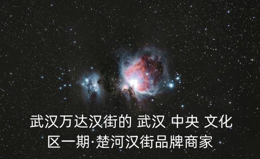  武漢萬達(dá)漢街的 武漢 中央 文化區(qū)一期·楚河漢街品牌商家