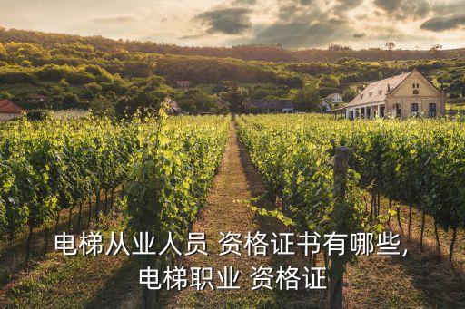  電梯從業人員 資格證書有哪些, 電梯職業 資格證