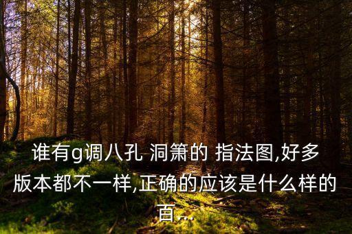 洞簫指法,先學五指法再學八指孔吹笛子