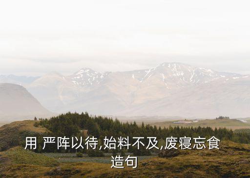 用 嚴(yán)陣以待,始料不及,廢寢忘食 造句