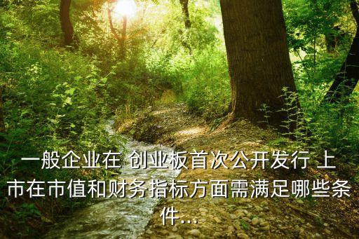 一般企業(yè)在 創(chuàng)業(yè)板首次公開發(fā)行 上市在市值和財(cái)務(wù)指標(biāo)方面需滿足哪些條件...