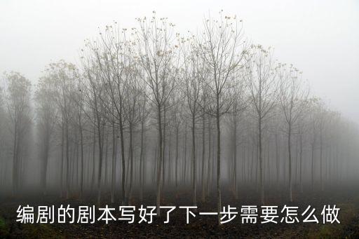 編劇的劇本寫好了下一步需要怎么做