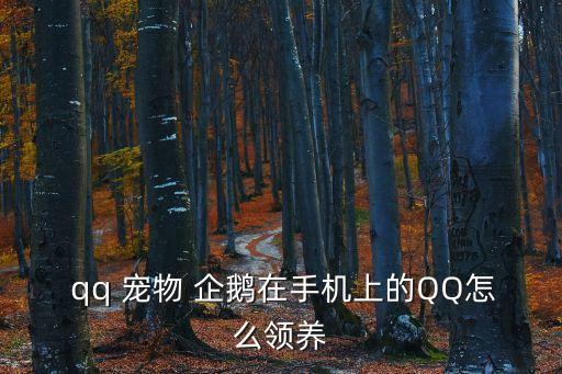  qq 寵物 企鵝在手機上的QQ怎么領養