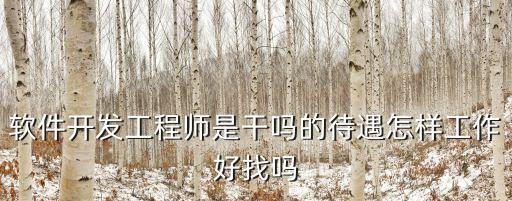 應用開發工程師，軟件開發工程師是干嗎的待遇怎樣工作好找嗎