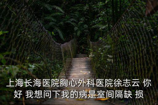 上海長海醫(yī)院胸心外科醫(yī)院徐志云 你好 我想問下我的病是室間隔缺 損