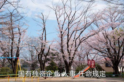 人事任命,人事任免權立法設定主要形式及相關人事決定