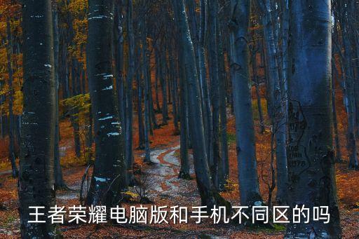 王者榮耀電腦版，電腦版的王者榮耀多么大 mpc6com