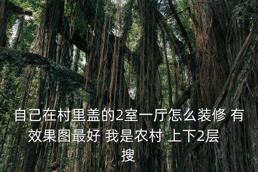 自己在村里蓋的2室一廳怎么裝修 有效果圖最好 我是農(nóng)村 上下2層  搜