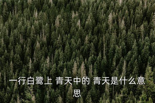 一行白鷺上 青天中的 青天是什么意思