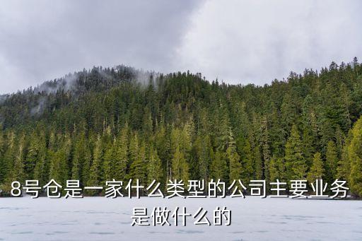8號倉是一家什么類型的公司主要業務是做什么的