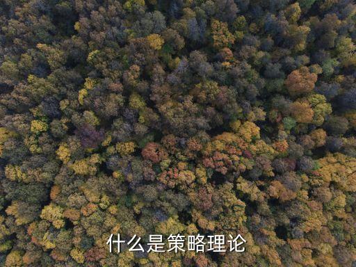 什么是策略，什么是策略理論
