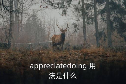 appreciatedoing 用法是什么