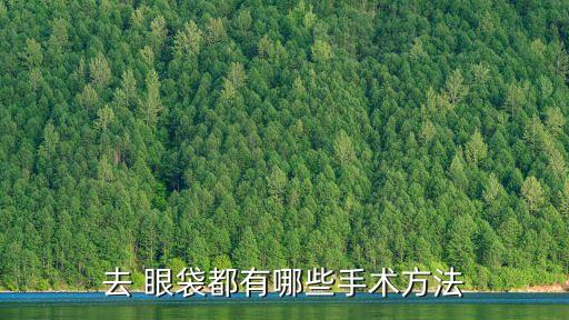 眼袋抽脂術(shù),吸脂術(shù)眼袋手術(shù)方法:內(nèi)切開法眼袋