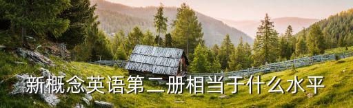 新概念英語第二冊相當于什么水平