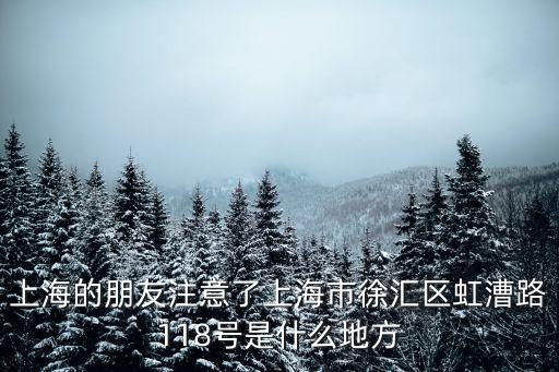 上海的朋友注意了上海市徐匯區虹漕路118號是什么地方