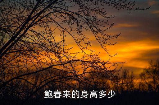 鮑春來,我國羽毛球選手李春來入選國家隊名單