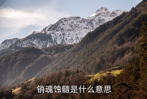 銷魂是什么意思,dim銷魂de含義:消滅靈魂就是分離