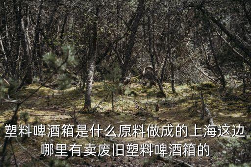 塑料啤酒箱是什么原料做成的上海這邊哪里有賣廢舊塑料啤酒箱的