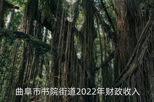 曲阜政府網,財政收入可能擴大嗎?
