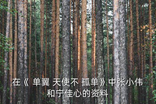 單翼天使不孤單,失去親愛的補償