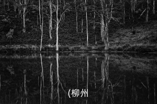 (柳州